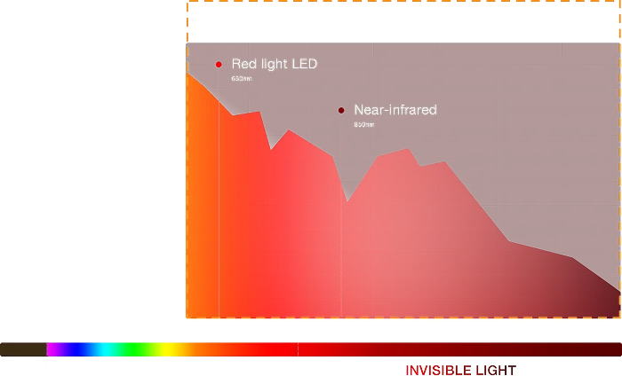 Full-Spectrum VS. <br>
Traditional Red Light